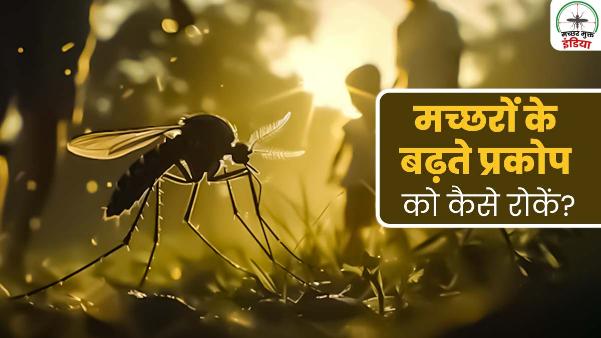 भारत में बढ़ रहा है मच्छरों से जुड़ी बीमारियों का प्रकोप, जानें इसके कारण और रिकवरी के तरीके 